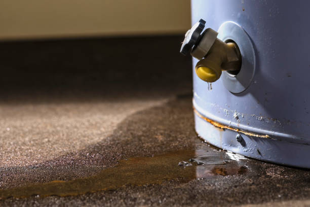 Best Flood restoration services  in Rochester Institute Of Technology, NY