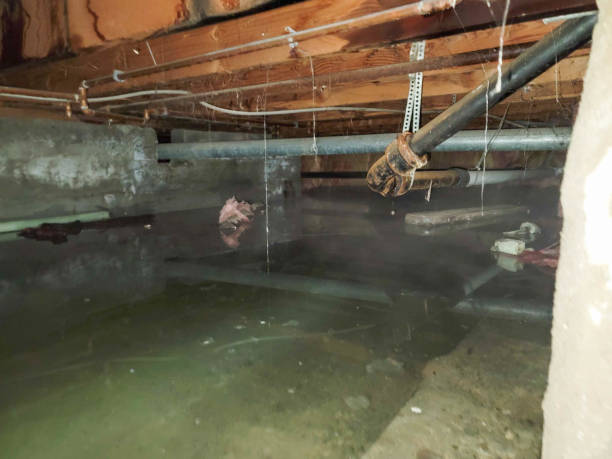 Best Water damage restoration near me  in Rochester Institute Of Technology, NY