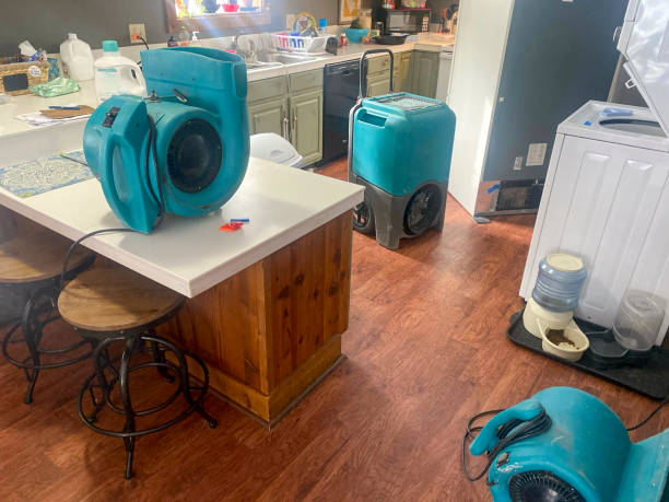 Water damage restoration experts in NY