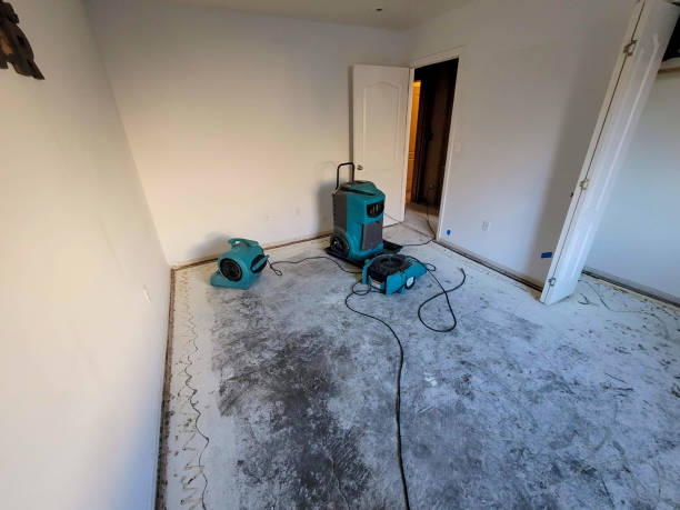  Rochester Institute Of Technology, NY Water damage restoration Pros