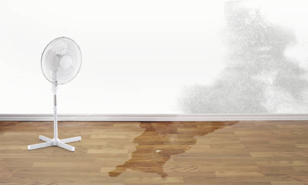 Best Sewage cleanup and water damage restoration  in Rochester Institute Of Technology, NY
