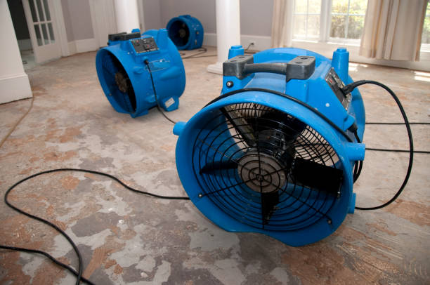 Best Mold removal after water damage  in Rochester Institute Of Technology, NY