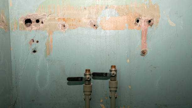 Best Water damage contractors near me  in Rochester Institute Of Technology, NY