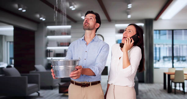 Best Carpet water damage restoration  in Rochester Institute Of Technology, NY